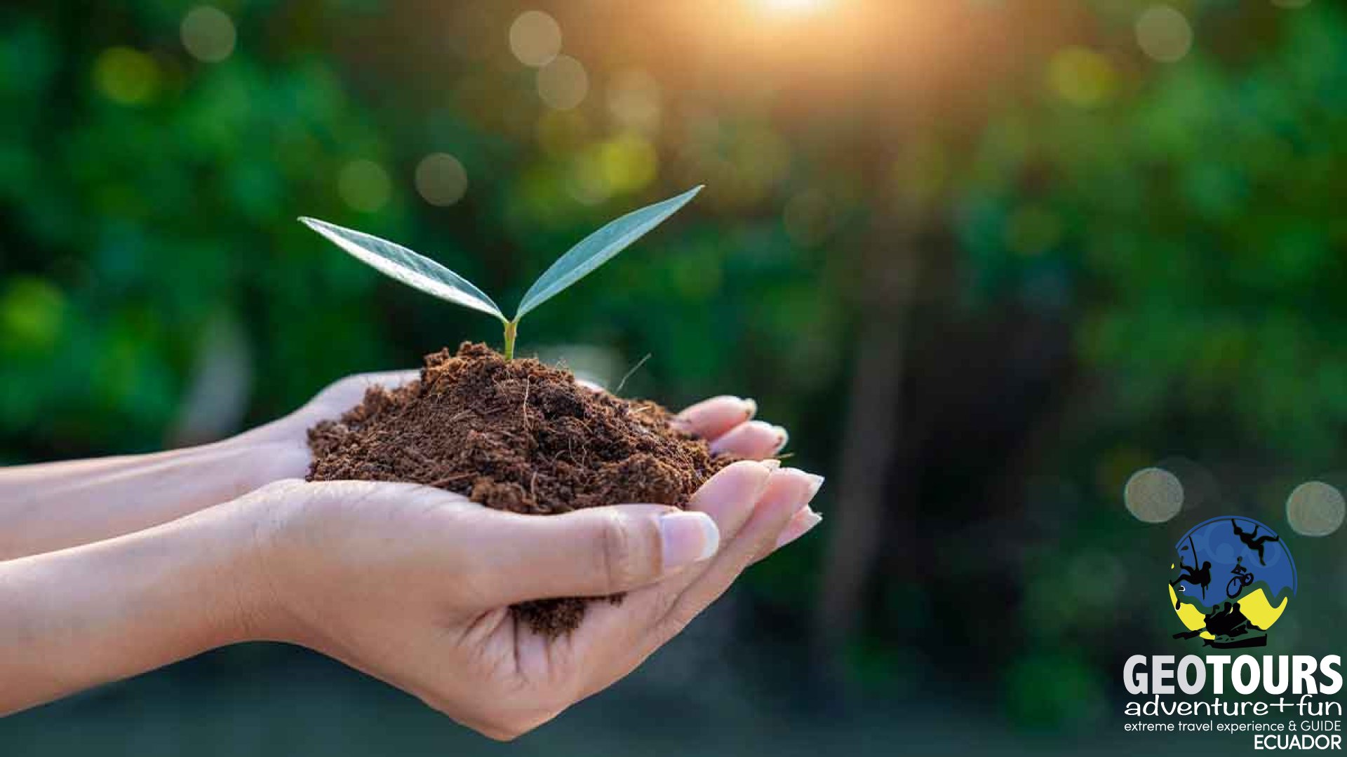 Recommendations for the care of the environment