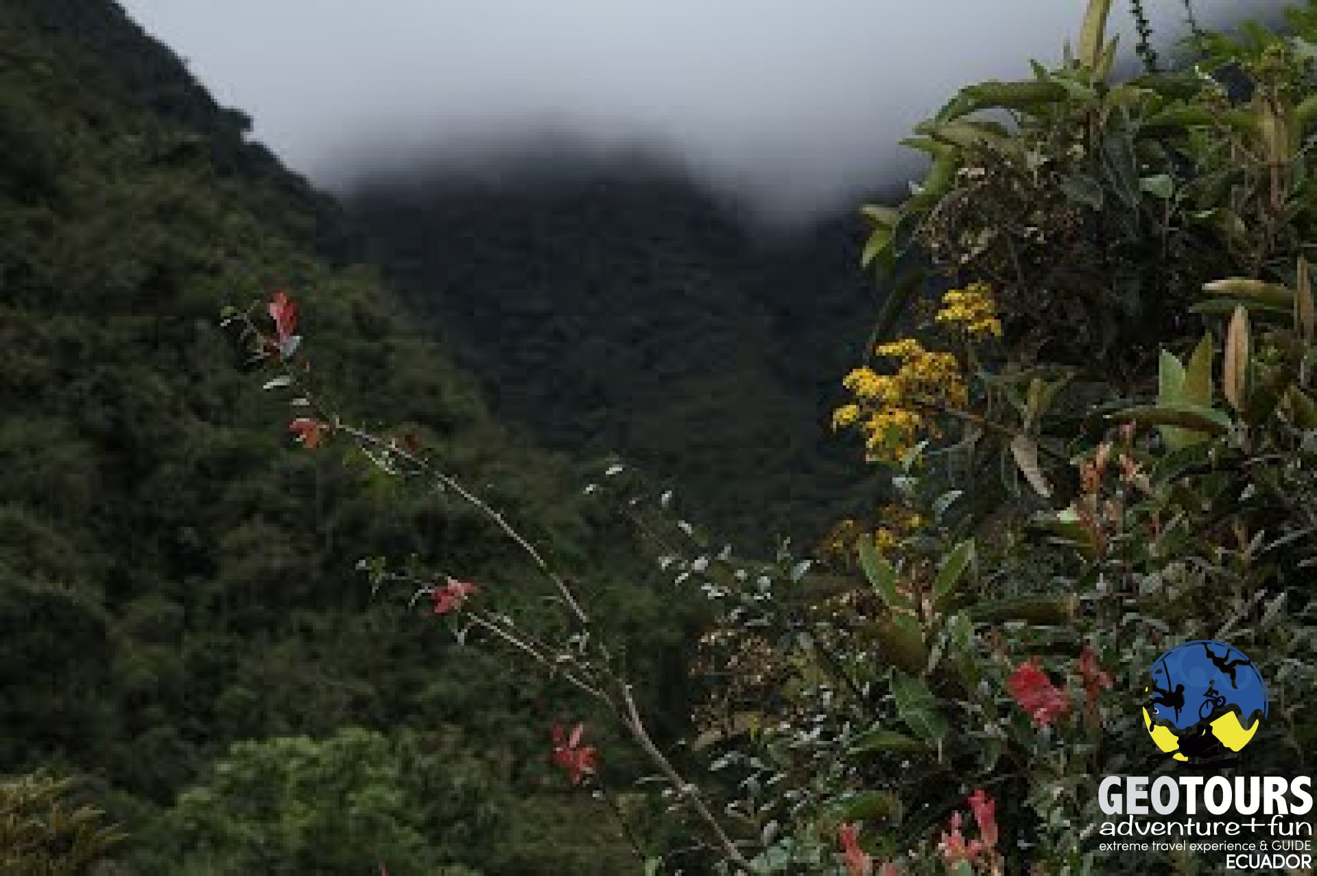 Llanganates Sangay Ecological Corredor