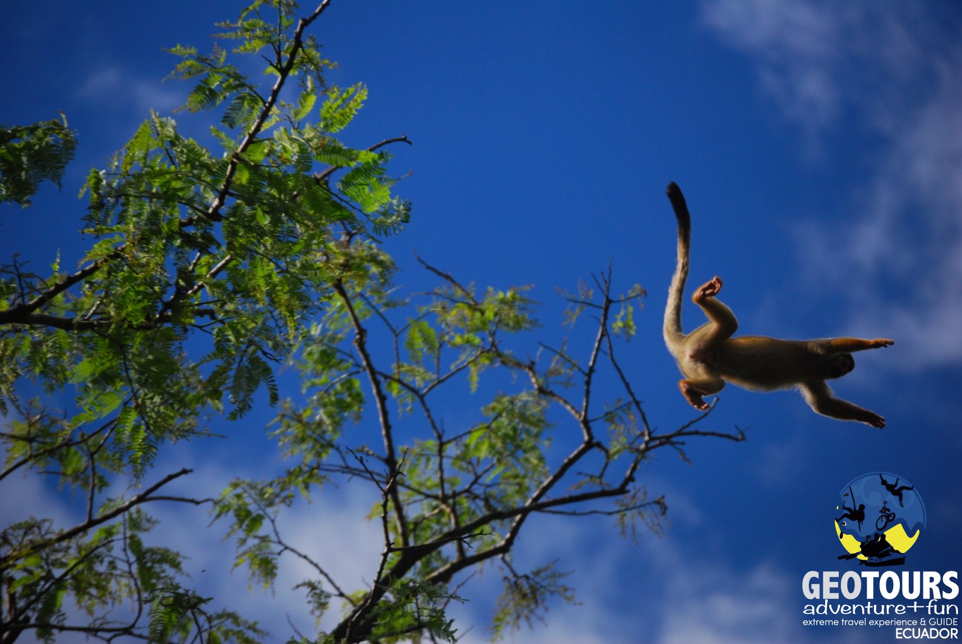 Yasuni National Park -  Amazon Tour of 5 Days 